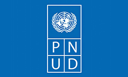 PNUD
